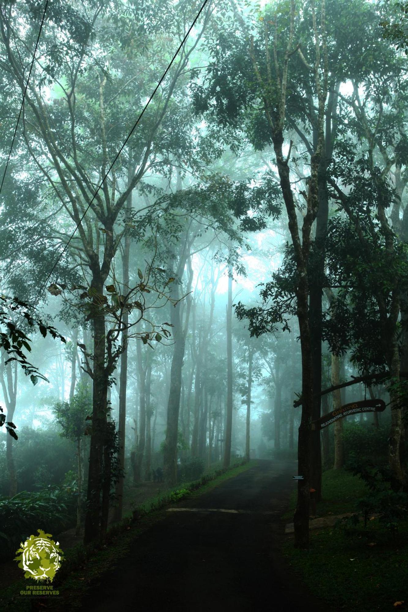 Greenwoods Resort, 5* Thekkady
