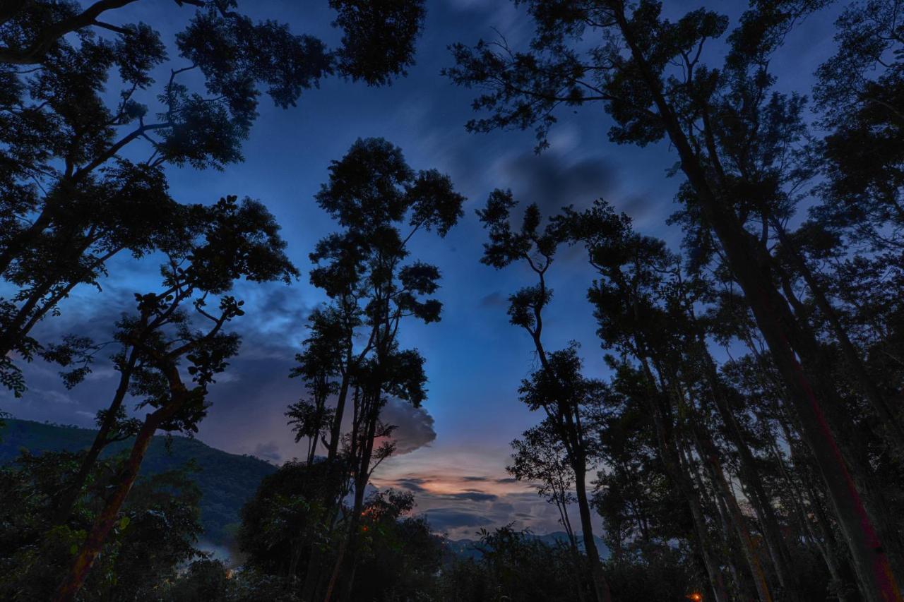 Greenwoods Resort, सहारा 5*